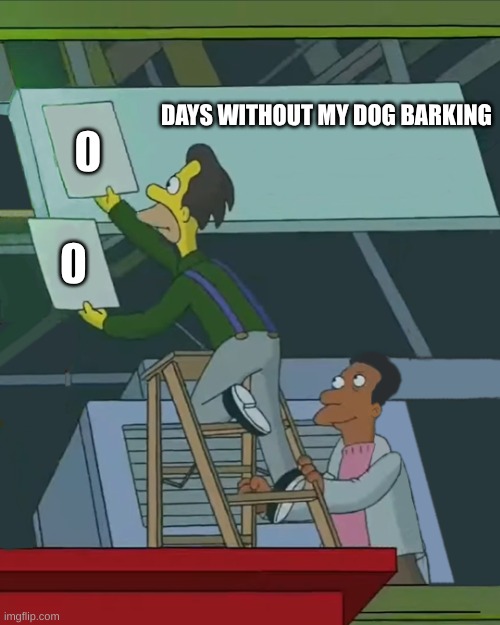 My Dog | DAYS WITHOUT MY DOG BARKING; 0; 0 | image tagged in zero days without | made w/ Imgflip meme maker