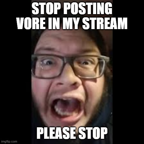 Please stop. | STOP POSTING VORE IN MY STREAM; PLEASE STOP | image tagged in stop posting about among us | made w/ Imgflip meme maker