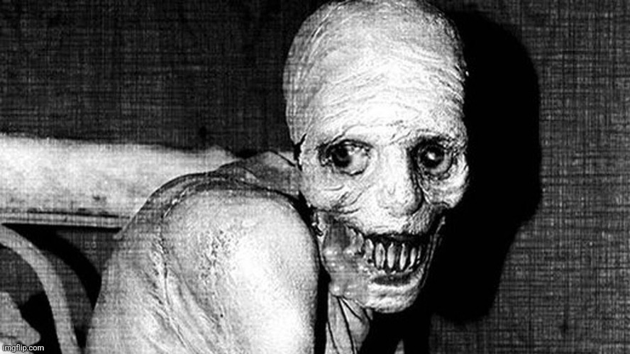 Russian sleep experiment | image tagged in russian sleep experiment | made w/ Imgflip meme maker