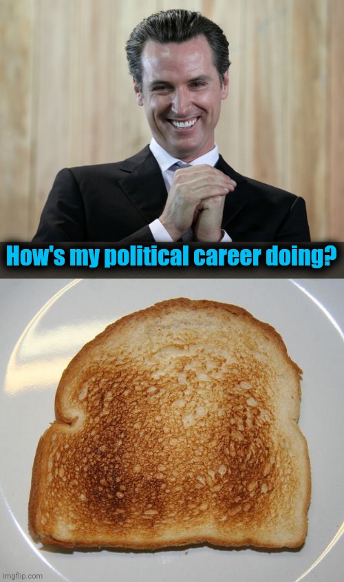 How's my political career doing? | image tagged in scheming gavin newsom,toast,memes,lying suckweasel,democrats,wildfires | made w/ Imgflip meme maker