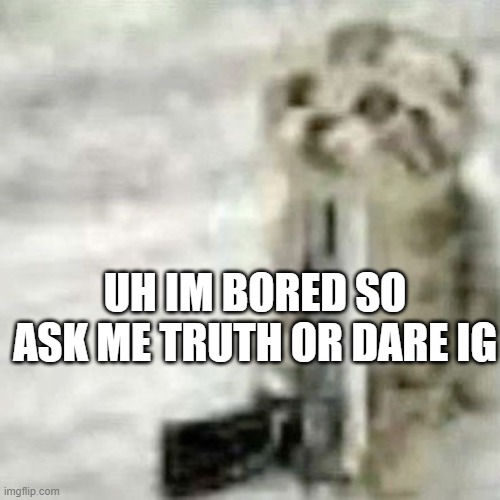 car sewer slide | UH IM BORED SO ASK ME TRUTH OR DARE IG | image tagged in car sewer slide | made w/ Imgflip meme maker