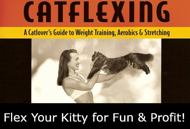 Don't miss out! | Flex Your Kitty for Fun & Profit! | image tagged in memes,cats,fun | made w/ Imgflip meme maker