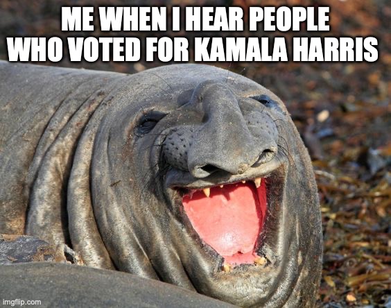 Don't you agree? | ME WHEN I HEAR PEOPLE WHO VOTED FOR KAMALA HARRIS | image tagged in laughing sea lion | made w/ Imgflip meme maker