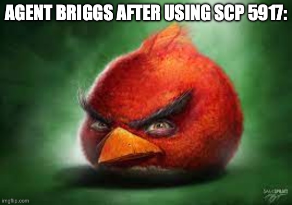 Bird boy. | AGENT BRIGGS AFTER USING SCP 5917: | image tagged in realistic red angry birds,scp,multiverse,scp meme | made w/ Imgflip meme maker