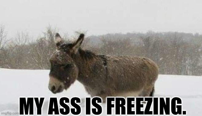 My Ass Is Freezing. | MY ASS IS FREEZING. | image tagged in chris joines | made w/ Imgflip meme maker