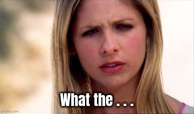 Buffy The Vampire Slayer WTF | What the . . . | image tagged in buffy the vampire slayer wtf | made w/ Imgflip meme maker