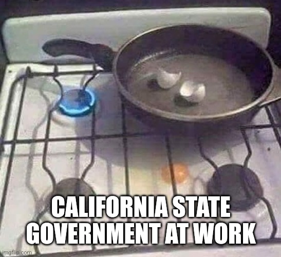 Newsom and Bass hard at work | CALIFORNIA STATE GOVERNMENT AT WORK | image tagged in government at work | made w/ Imgflip meme maker