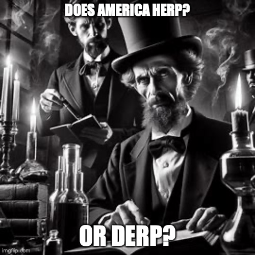 sooth sayer Abe Lincoln | DOES AMERICA HERP? OR DERP? | image tagged in out,of,touch,abe,lincoln | made w/ Imgflip meme maker