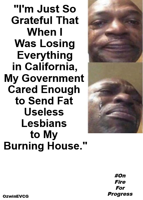 #OnFireForProgress | "I'm Just So 

Grateful That 

When I 

Was Losing 

Everything 

in California, My Government 

Cared Enough 

to Send Fat 

Useless 

Lesbians 

to My 

Burning House."; #On
Fire
For
Progress; OzwinEVCG | image tagged in black guy crying,california fires,woke,liberal logic,government corruption,politicians suck | made w/ Imgflip meme maker