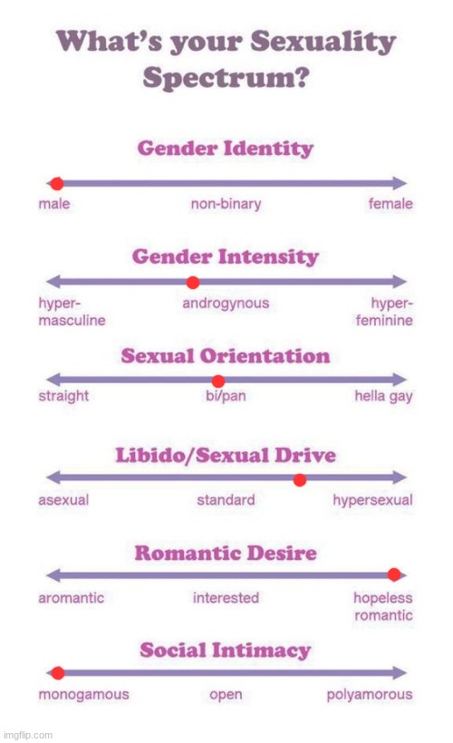 I'm new to lgbtq... | image tagged in what's your sexuality spectrum | made w/ Imgflip meme maker