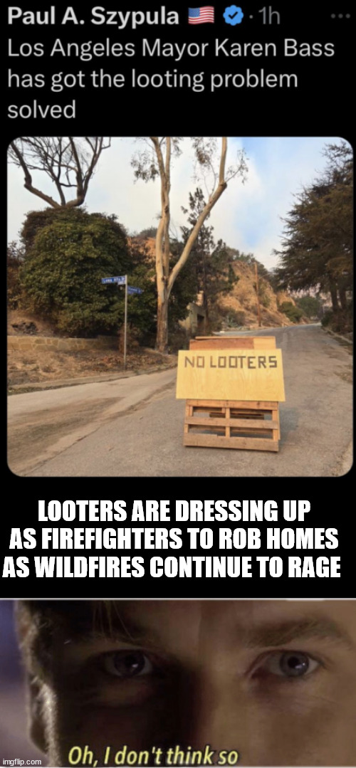 I don't think so | LOOTERS ARE DRESSING UP AS FIREFIGHTERS TO ROB HOMES AS WILDFIRES CONTINUE TO RAGE | image tagged in oh i don't think so,looters,dressing as firemen now | made w/ Imgflip meme maker