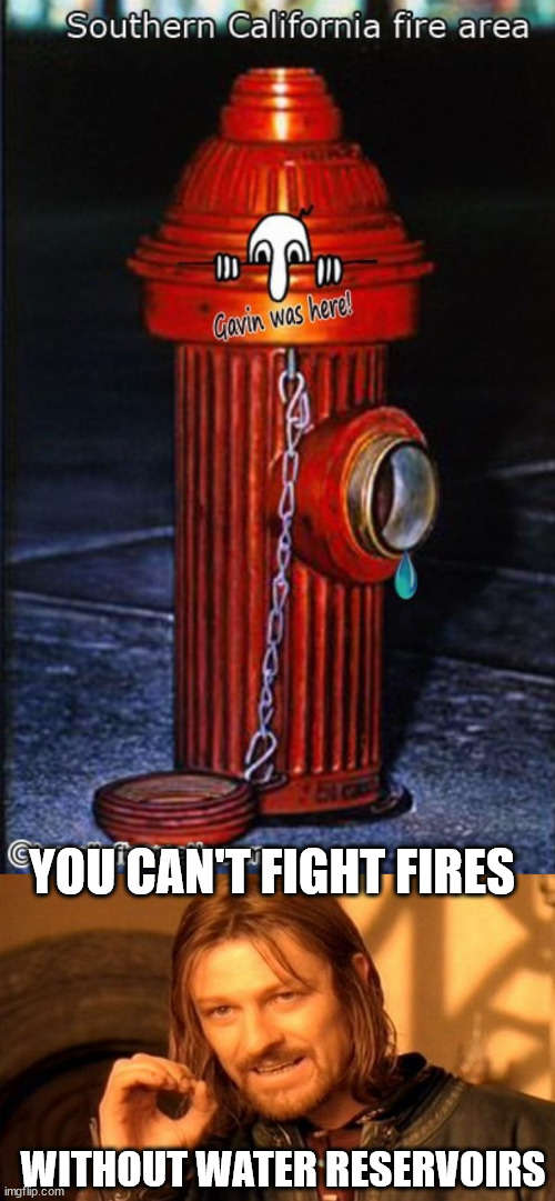 democrat leadership is responsible for empty reservoirs | YOU CAN'T FIGHT FIRES; WITHOUT WATER RESERVOIRS | image tagged in memes,one does not simply,democrats,government mismanagement | made w/ Imgflip meme maker