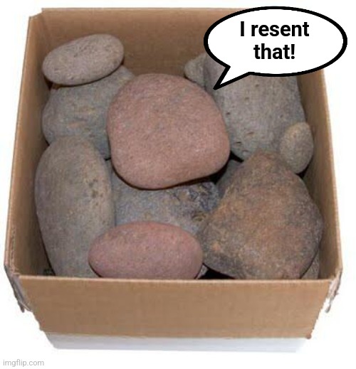 Box of Rocks | I resent
that! | image tagged in box of rocks | made w/ Imgflip meme maker