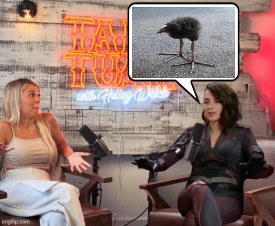 Talk Tuah guest, Stormfront | image tagged in talk tuah guest stormfront | made w/ Imgflip meme maker