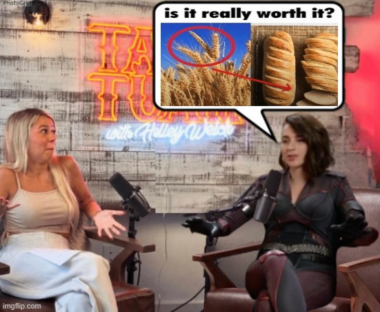 Talk Tuah guest, Stormfront | image tagged in talk tuah guest stormfront | made w/ Imgflip meme maker