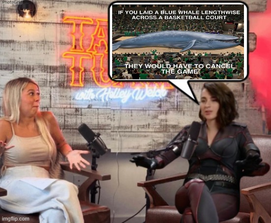Talk Tuah guest, Stormfront | image tagged in talk tuah guest stormfront | made w/ Imgflip meme maker