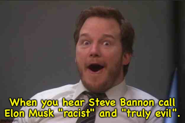 Is there a rift in the MAGA cult? | When you hear Steve Bannon call Elon Musk "racist" and "truly evil". | image tagged in the face you make | made w/ Imgflip meme maker