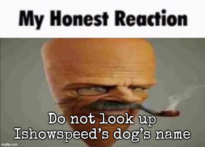 My honest reaction | Do not look up Ishowspeed’s dog’s name | image tagged in my honest reaction,msmg | made w/ Imgflip meme maker