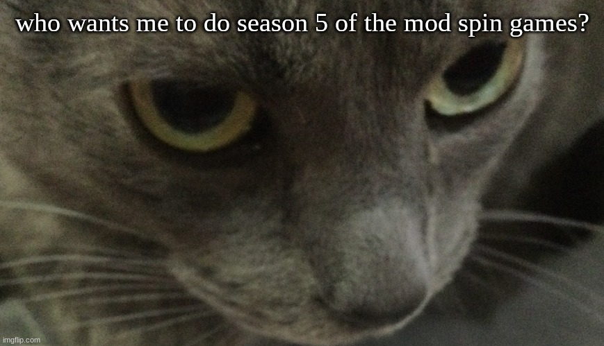 Sweetie | who wants me to do season 5 of the mod spin games? | image tagged in sweetie | made w/ Imgflip meme maker