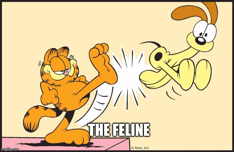 I Stand With | THE FELINE | image tagged in garfield kicking odie,djt | made w/ Imgflip meme maker