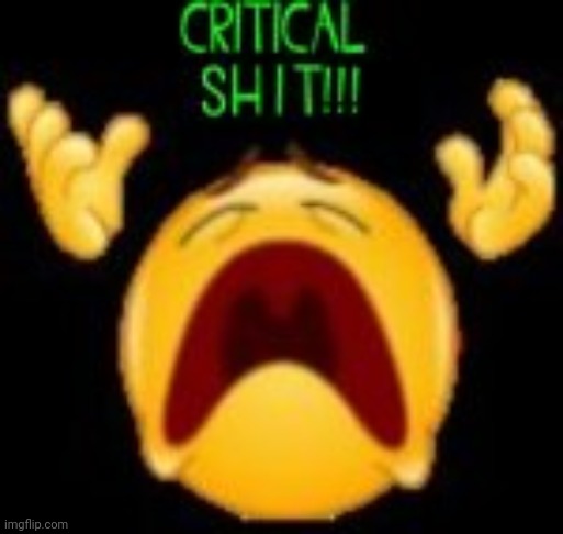 Critical shit! | image tagged in critical shit | made w/ Imgflip meme maker