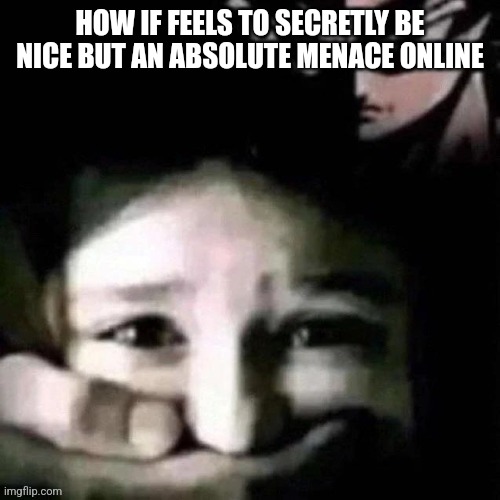 shush | HOW IF FEELS TO SECRETLY BE NICE BUT AN ABSOLUTE MENACE ONLINE | image tagged in shush | made w/ Imgflip meme maker