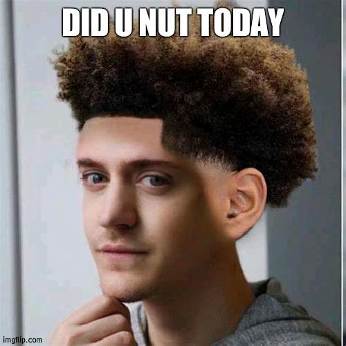 ninja low taper fade | DID U NUT TODAY | image tagged in ninja low taper fade | made w/ Imgflip meme maker