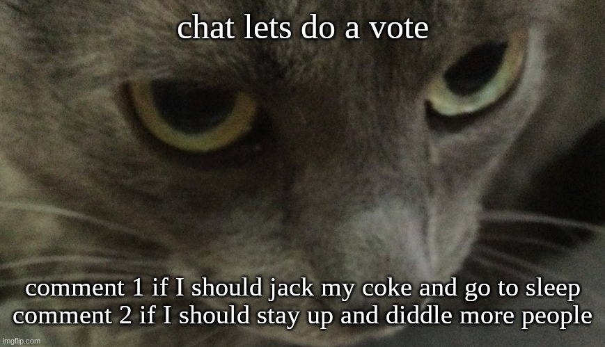 Sweetie | chat lets do a vote; comment 1 if I should jack my coke and go to sleep
comment 2 if I should stay up and diddle more people | image tagged in sweetie | made w/ Imgflip meme maker