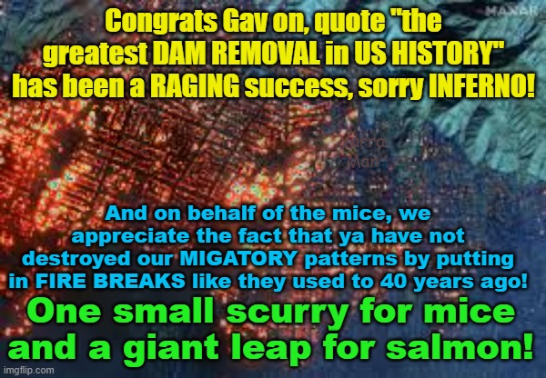 One small step for mice and a one giant leap for Bass and Salmon. That's the California way! | Congrats Gav on, quote "the greatest DAM REMOVAL in US HISTORY" has been a RAGING success, sorry INFERNO! Yarra Man; And on behalf of the mice, we appreciate the fact that ya have not destroyed our MIGATORY patterns by putting in FIRE BREAKS like they used to 40 years ago! One small scurry for mice and a giant leap for salmon! | image tagged in gavin newsom,woke,dei,self gratification by proxy,democrats,los angeles firestorm | made w/ Imgflip meme maker