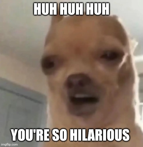 So funny | HUH HUH HUH; YOU'RE SO HILARIOUS | image tagged in reactions,reaction,dog | made w/ Imgflip meme maker