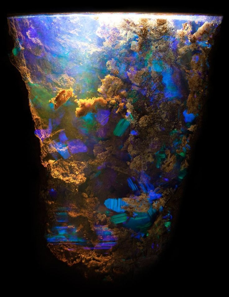 Boulder Opal | image tagged in photography | made w/ Imgflip meme maker