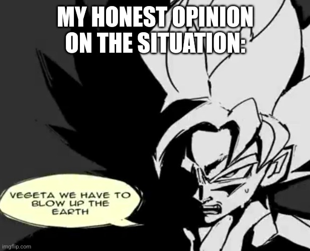 Vegeta we have to blow up the Earth | MY HONEST OPINION ON THE SITUATION: | image tagged in vegeta we have to blow up the earth | made w/ Imgflip meme maker