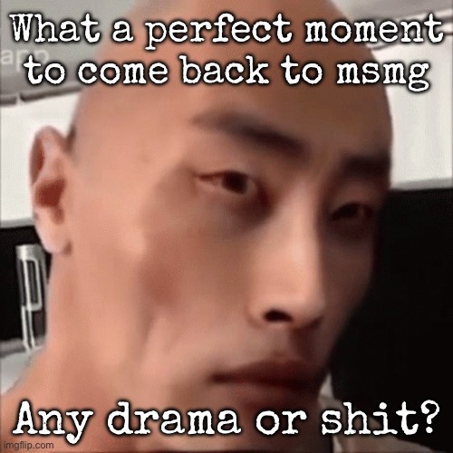 da chinese wok | What a perfect moment to come back to msmg; Any drama or shit? | image tagged in da chinese wok,msmg | made w/ Imgflip meme maker