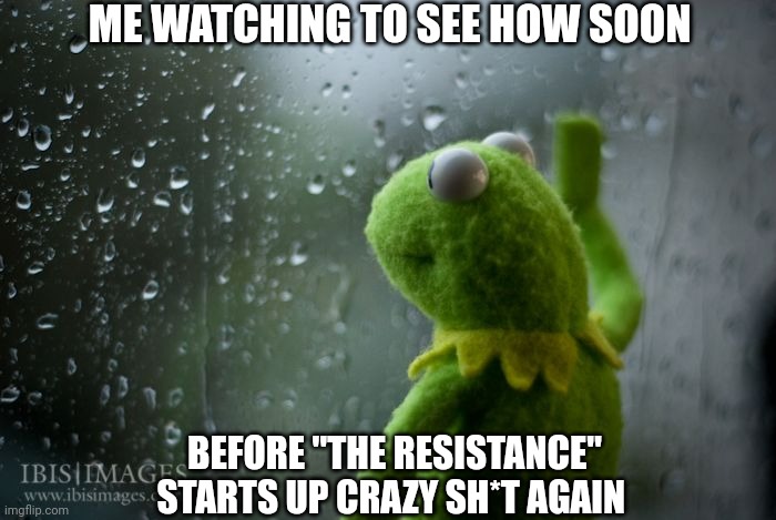 Libtards gonna libtard | ME WATCHING TO SEE HOW SOON; BEFORE "THE RESISTANCE" STARTS UP CRAZY SH*T AGAIN | image tagged in kermit window,libtard,moron,losers,butthurt liberals | made w/ Imgflip meme maker