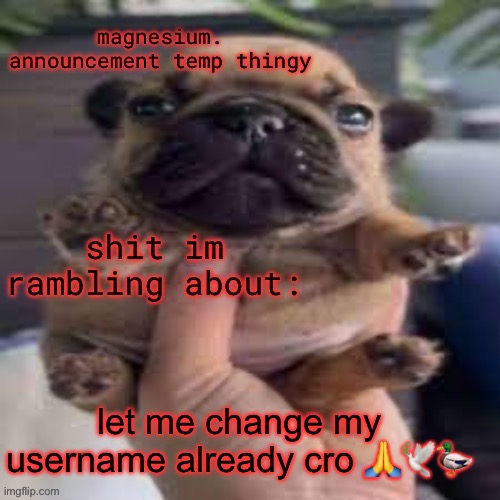 pug temp | let me change my username already cro 🙏🕊️🦆 | image tagged in pug temp | made w/ Imgflip meme maker