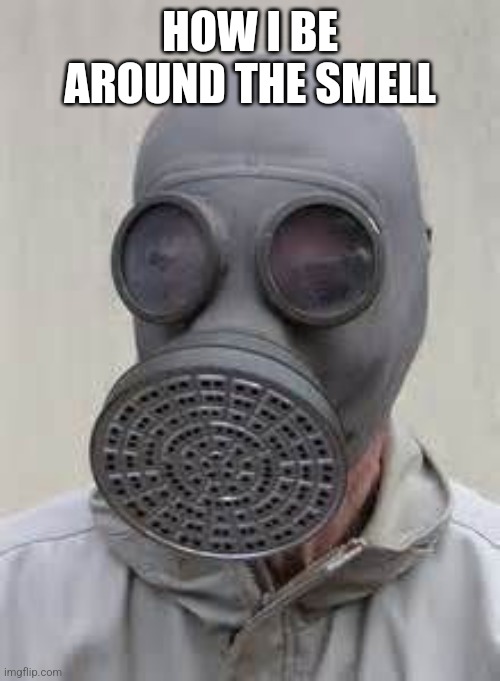 Gas mask | HOW I BE AROUND THE SMELL | image tagged in gas mask | made w/ Imgflip meme maker