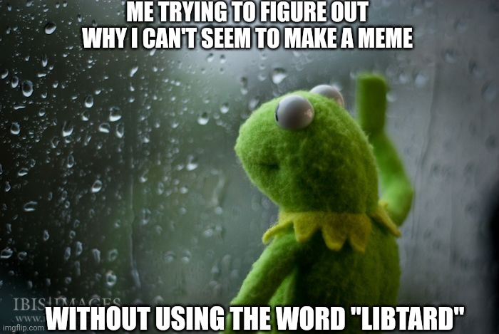 Libtard | ME TRYING TO FIGURE OUT WHY I CAN'T SEEM TO MAKE A MEME; WITHOUT USING THE WORD "LIBTARD" | image tagged in kermit window,libtard,memes about memes | made w/ Imgflip meme maker