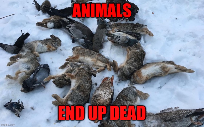 Dopewars | ANIMALS; END UP DEAD | image tagged in dead animals | made w/ Imgflip meme maker