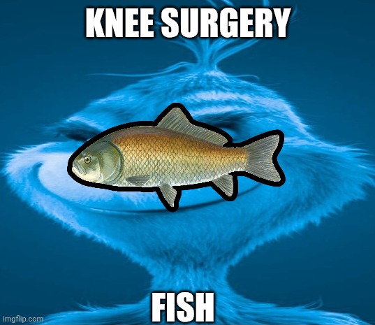 Blue Grinch | KNEE SURGERY; FISH | image tagged in blue grinch | made w/ Imgflip meme maker