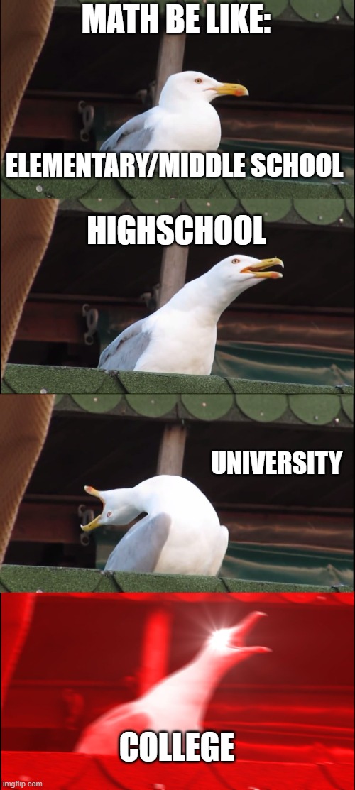 Inhaling Seagull | MATH BE LIKE:; ELEMENTARY/MIDDLE SCHOOL; HIGHSCHOOL; UNIVERSITY; COLLEGE | image tagged in memes,inhaling seagull | made w/ Imgflip meme maker