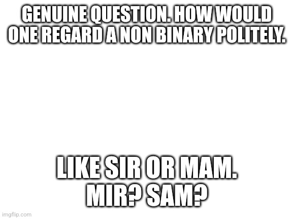 Blank White Template | GENUINE QUESTION. HOW WOULD ONE REGARD A NON BINARY POLITELY. LIKE SIR OR MAM.

MIR? SAM? | image tagged in blank white template | made w/ Imgflip meme maker