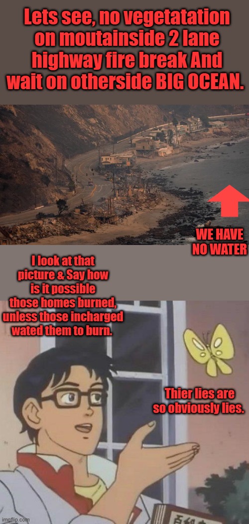 They could of used helicopters & ocean water to save them homes, or mobile gas engine water pumps. | Lets see, no vegetatation on moutainside 2 lane highway fire break And wait on otherside BIG OCEAN. WE HAVE NO WATER; I look at that picture & Say how is it possible those homes burned, unless those incharged wated them to burn. Thier lies are so obviously lies. | image tagged in memes,is this a pigeon | made w/ Imgflip meme maker