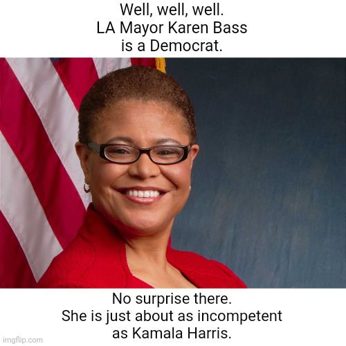 Karen Bass - Inept Dumbass | Well, well, well.
LA Mayor Karen Bass
is a Democrat. No surprise there.
She is just about as incompetent
as Kamala Harris. | image tagged in karen bass | made w/ Imgflip meme maker