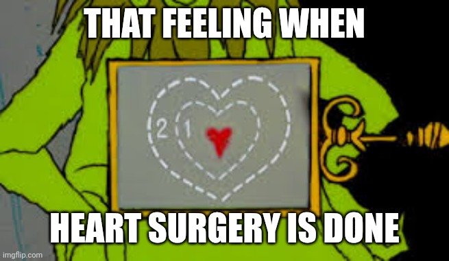 Grinch heart | THAT FEELING WHEN; HEART SURGERY IS DONE | image tagged in grinch heart | made w/ Imgflip meme maker