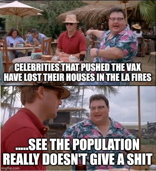 See Nobody Cares Meme | CELEBRITIES THAT PUSHED THE VAX HAVE LOST THEIR HOUSES IN THE LA FIRES; .....SEE THE POPULATION REALLY DOESN'T GIVE A SHIT | image tagged in memes,see nobody cares | made w/ Imgflip meme maker