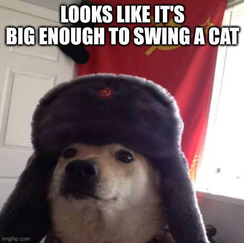 Doggo in soviet Russia... | LOOKS LIKE IT'S BIG ENOUGH TO SWING A CAT | image tagged in doggo in soviet russia | made w/ Imgflip meme maker