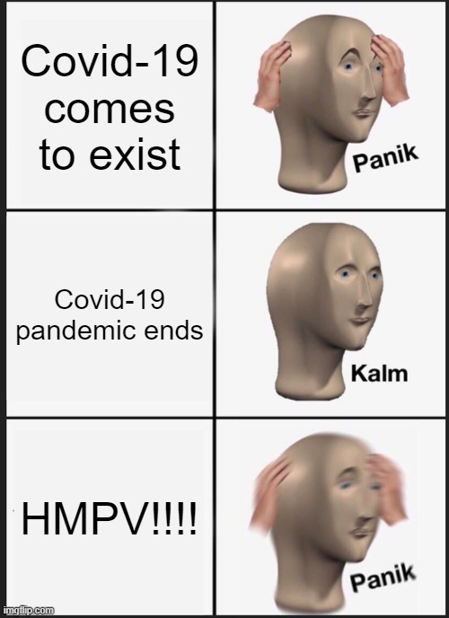 Virus meme | Covid-19 comes to exist; Covid-19 pandemic ends; HMPV!!!! | image tagged in memes,panik kalm panik,stonks | made w/ Imgflip meme maker