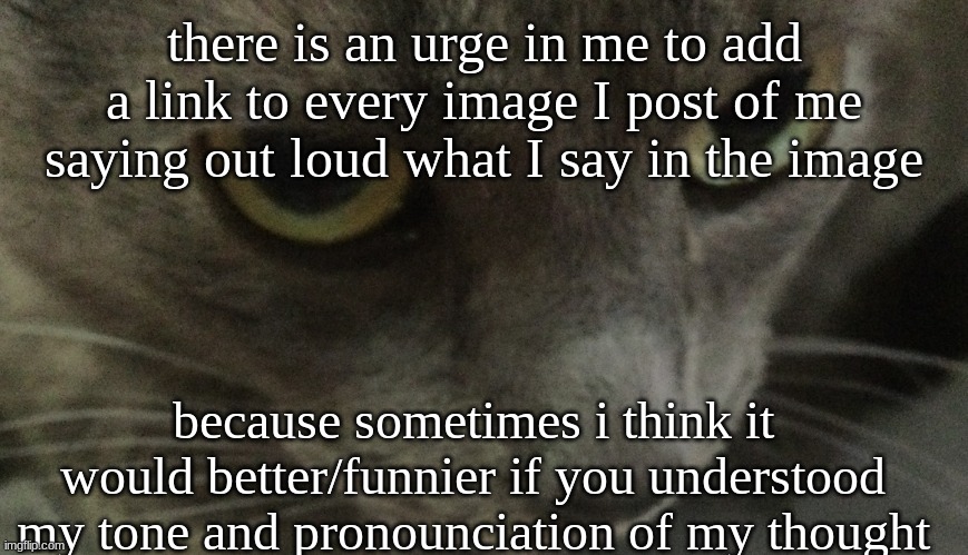 Sweetie | there is an urge in me to add a link to every image I post of me saying out loud what I say in the image; because sometimes i think it would better/funnier if you understood my tone and pronounciation of my thought | image tagged in sweetie | made w/ Imgflip meme maker