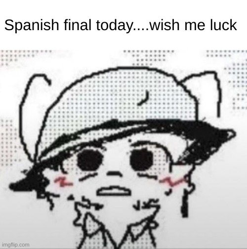 Boykisser 1k stare | Spanish final today....wish me luck | image tagged in boykisser 1k stare | made w/ Imgflip meme maker