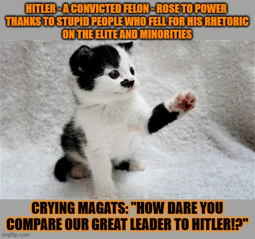 This #lolcat wonders if wappies know what 'Great Leader' translates to in German | HITLER - A CONVICTED FELON - ROSE TO POWER 
THANKS TO STUPID PEOPLE WHO FELL FOR HIS RHETORIC
ON THE ELITE AND MINORITIES; CRYING MAGATS: "HOW DARE YOU COMPARE OUR GREAT LEADER TO HITLER!?" | image tagged in wappies,donald trump,adolf hitler,stupid people,lolcat | made w/ Imgflip meme maker